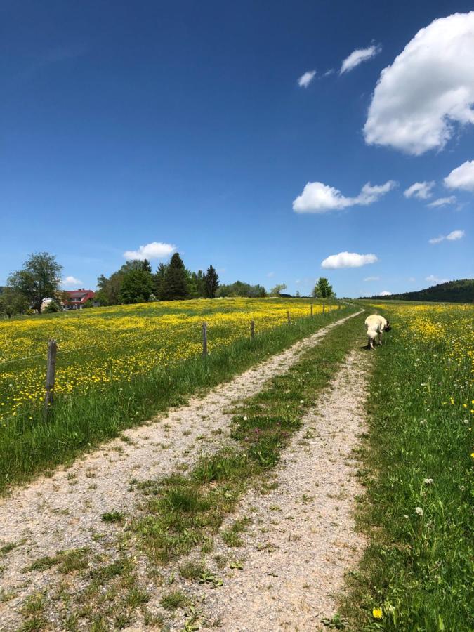 Pfaffensteghof Διαμέρισμα Rickenbach  Εξωτερικό φωτογραφία