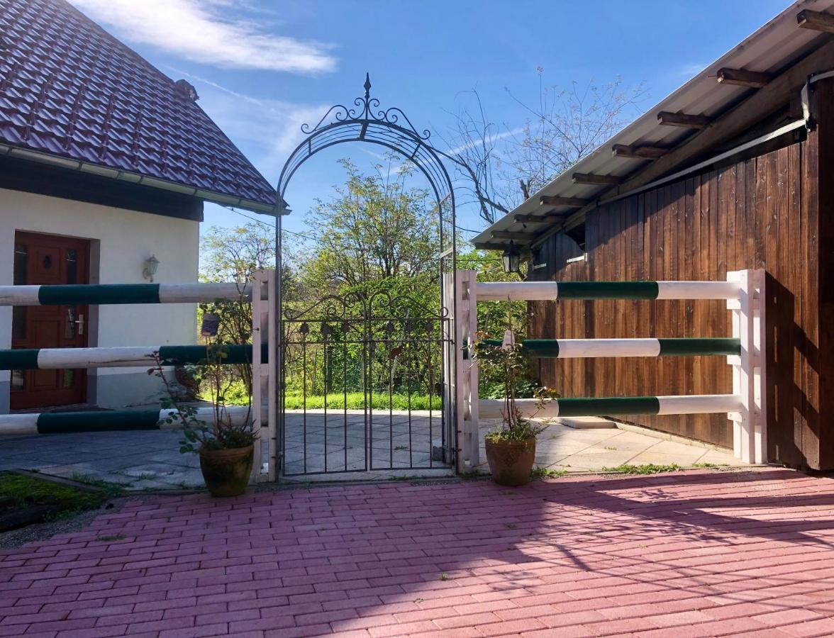 Pfaffensteghof Διαμέρισμα Rickenbach  Εξωτερικό φωτογραφία
